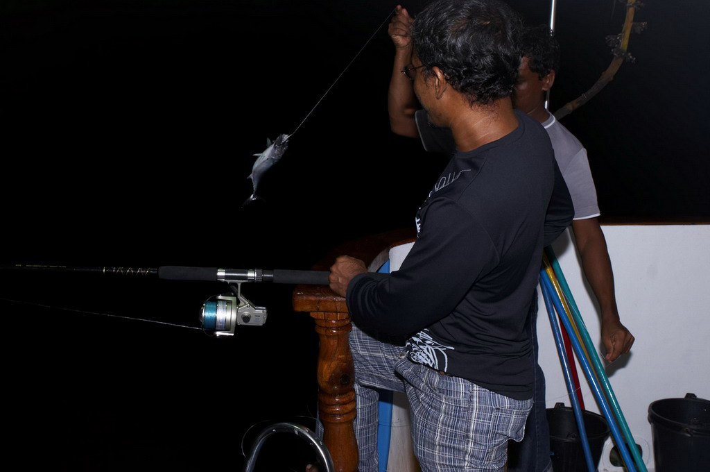 Loading image..