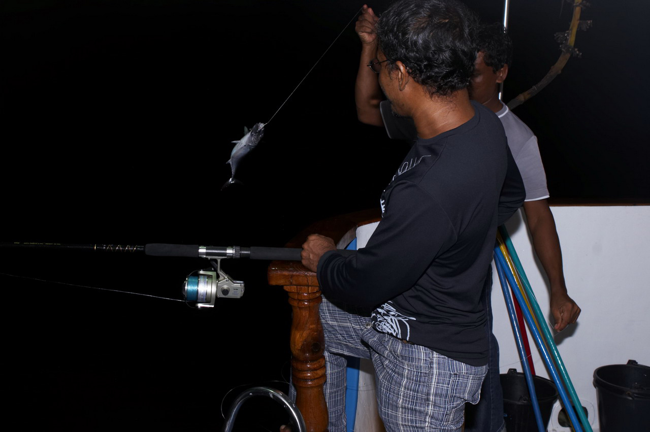 Loading image..