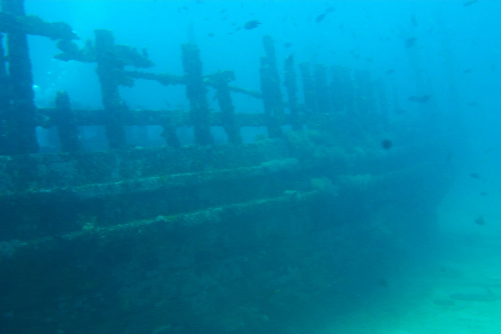 Loading image..